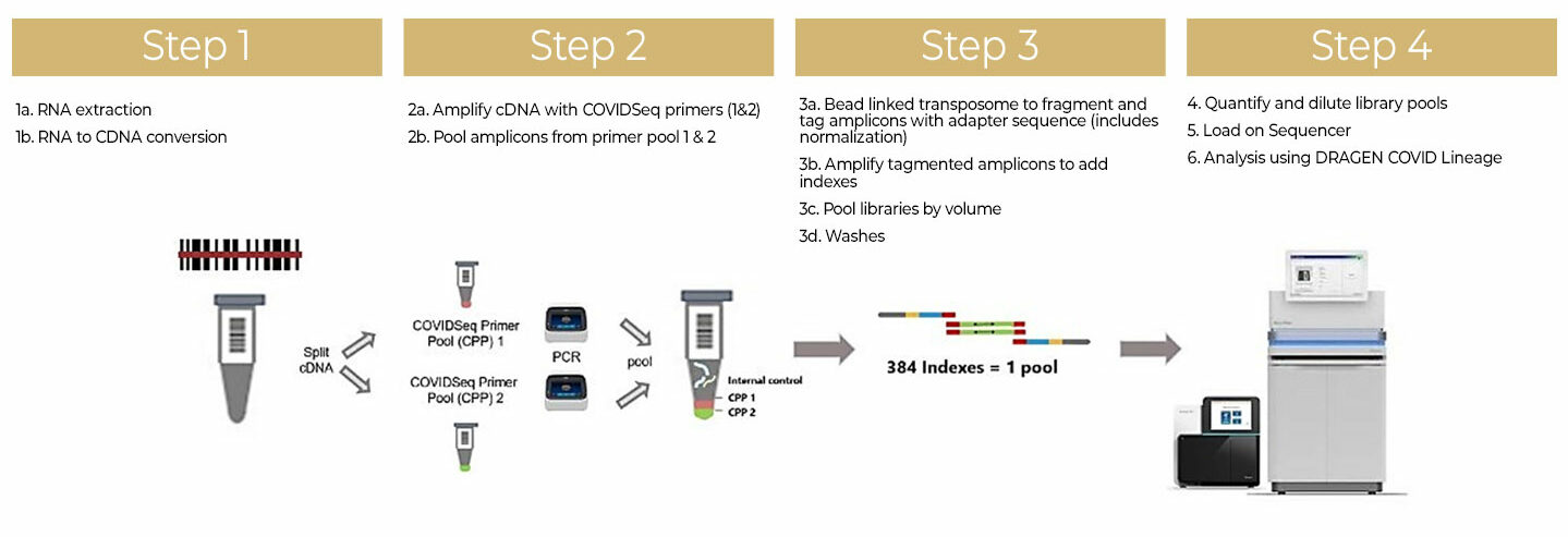 covid 19 genome sequence analysis